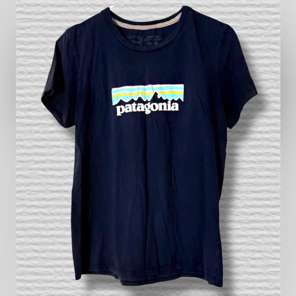 Patagonia Tops - 🌺Patahoni Blue Short Sleeve Tee with Graphic Design